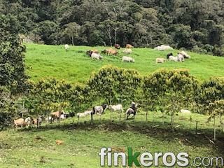 Finca para 20 personas: las ocho preguntas que evitan el desastre